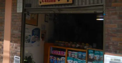 DINO PELUQUERIA CANINA BOGOTÁ DINO PELUQUERIA CANINA BOGOTÁ